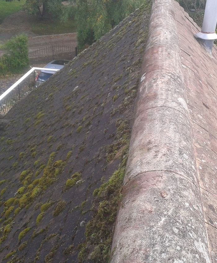 Entretien de couverture de toit à Sèvres (92310) et dans tous les Hauts-de-Seine (92)